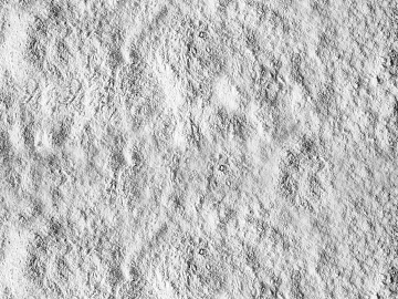 Black and White Bump 3d model