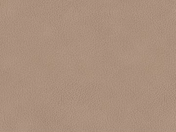 fine grain leather 3d model
