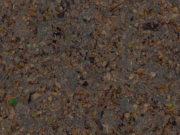 fallen leaves texture (ID:ffajg74124)