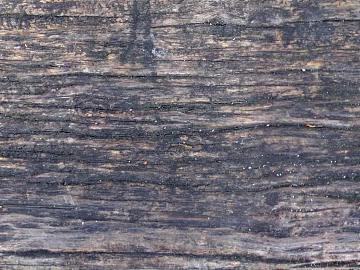 old wood texture (ID:ffagg27557)