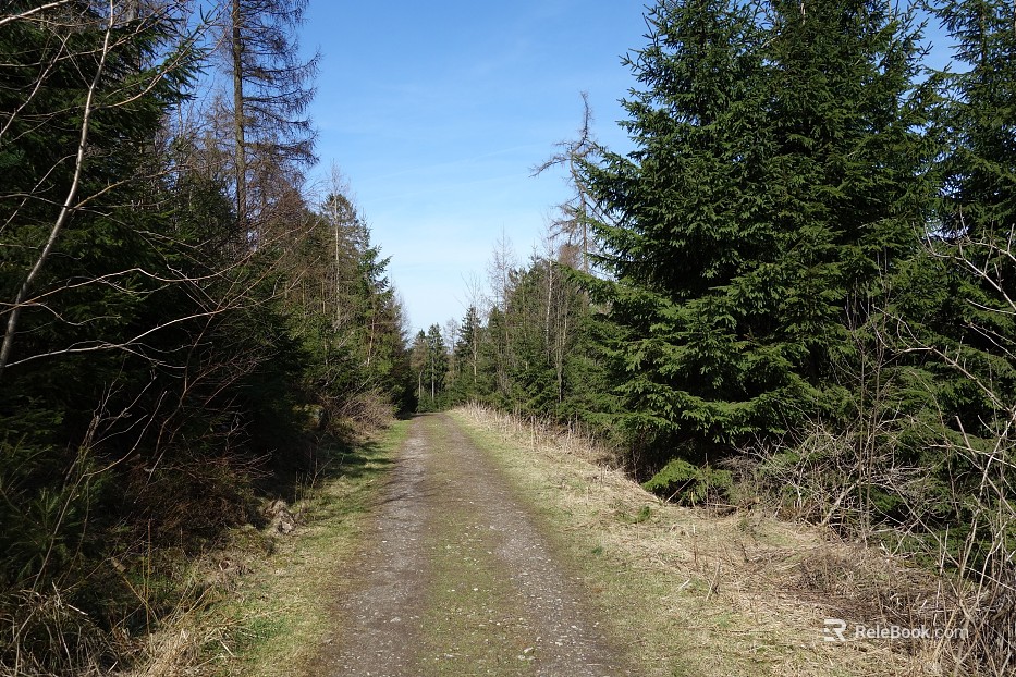 Wild Scenery texture