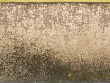 cement micro cement coffee texture (ID:ffaeg61641)