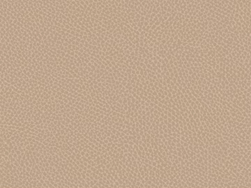 Coarse-grain leather texture (ID:ffach008216)