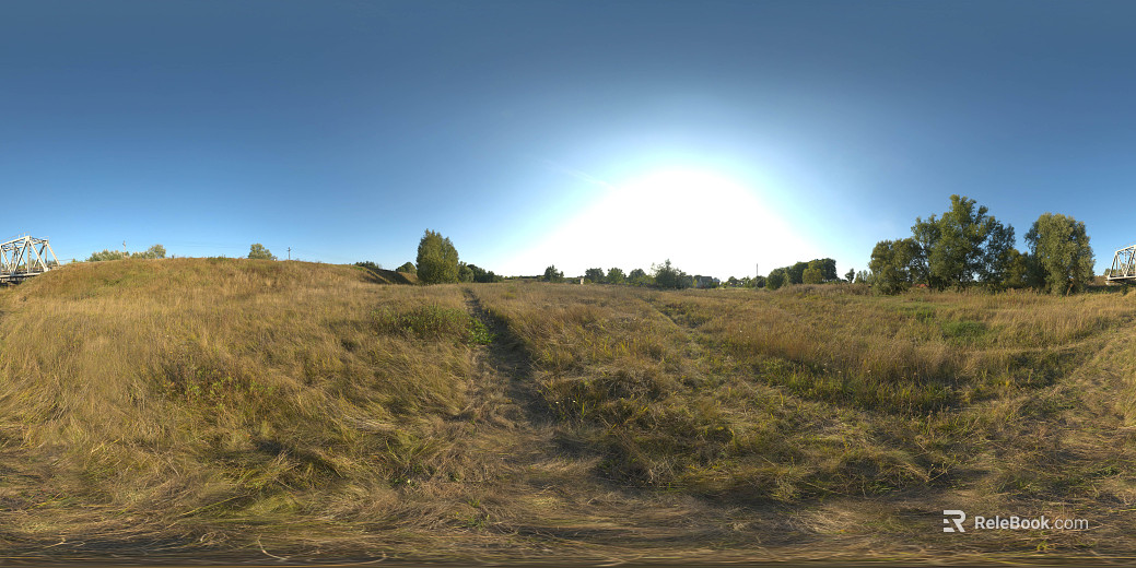 Outdoor grass view daytime HDR texture
