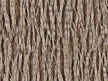 bark texture (ID:ffabg59070)