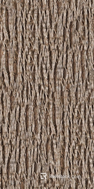 bark texture