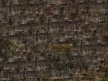bark 3d model