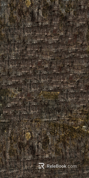 bark texture