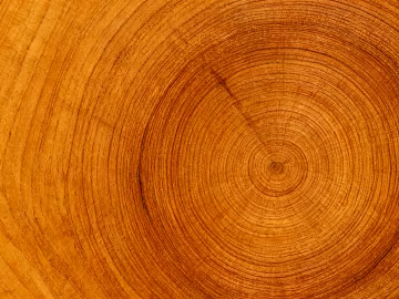 Teak texture (ID:ffajh383274)