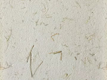 Cement ecological grass mud color exterior paint texture (ID:ffacg73161)