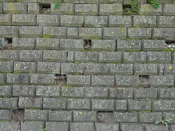 Brick wall texture (ID:ffaeg04293)