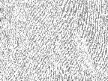 Black and White Bump texture (ID:ffagg02723)