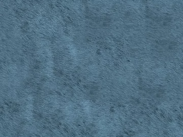 Animal Blanket 3d model