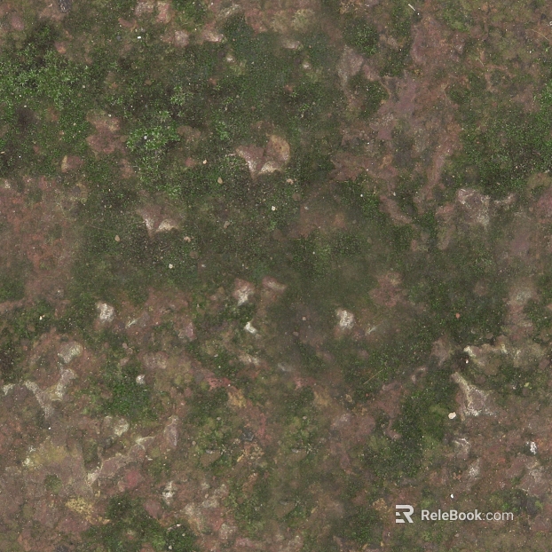 green brown moss rock outdoor ground texture
