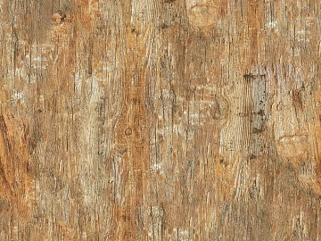 bark texture (ID:ffhce208)