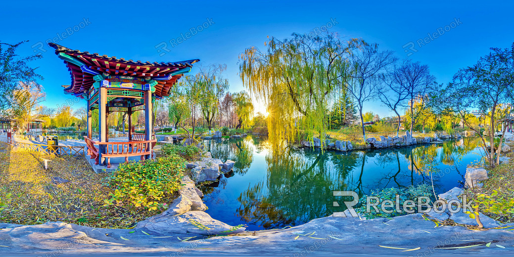 hdr garden landscape texture