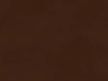 fine grain leather texture (ID:ffajg38858)