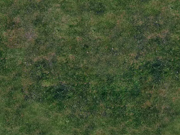 Turf texture (ID:ffach801416)