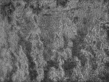 Plain pattern carpet texture (ID:ffaag86812)