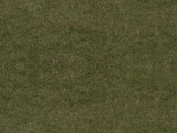 Grassland 3d model