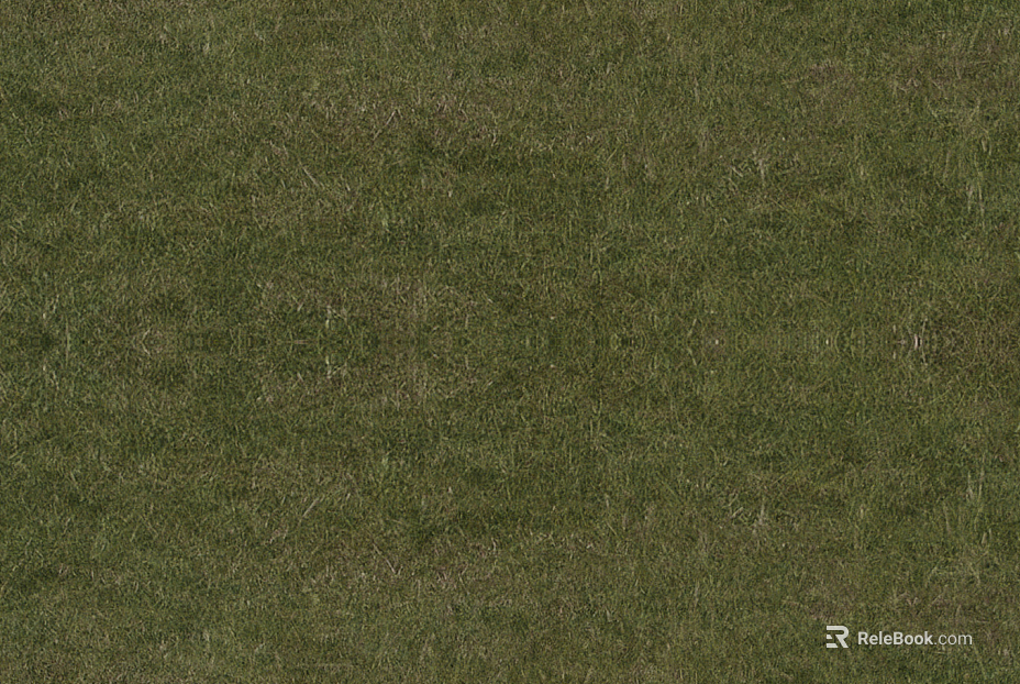 Grassland texture