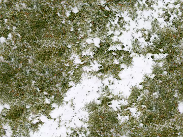 White Ice Ice Block Snow Soil Grass Lawn Grass Ground 3d model