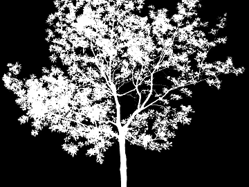 Plant Black and White Map texture (ID:ffhee956)