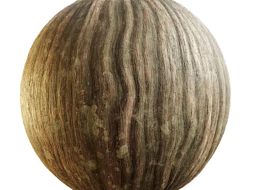 East Asian Bark PBR texture (ID:ffach012024)