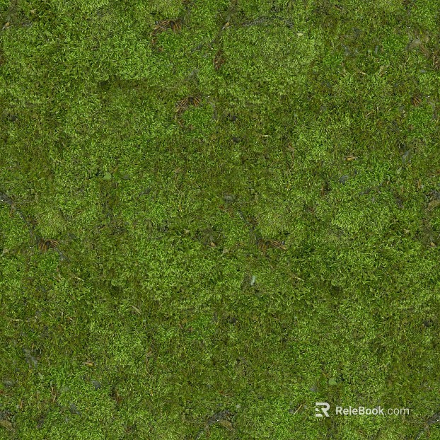 Turf texture