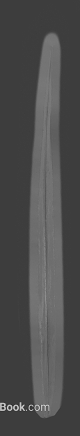 Off-white wood-grain moldings texture