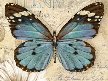 Animal painting texture (ID:ffabg55653)