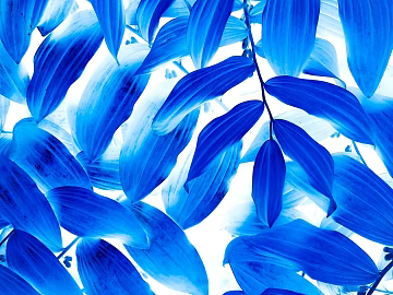 Plant painting texture (ID:ffagg01885)