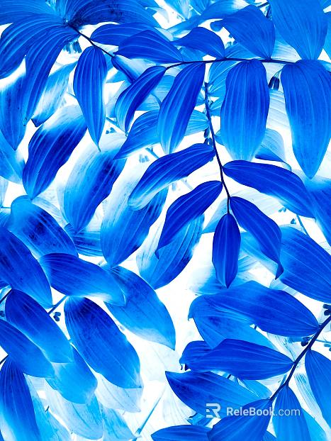 Plant painting texture