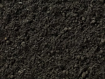 Mud texture (ID:ffach397574)