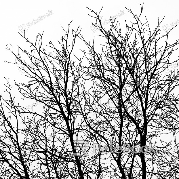 black and white tree shadow texture