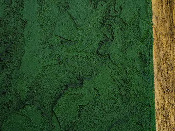 Paint texture (ID:ffabg42690)