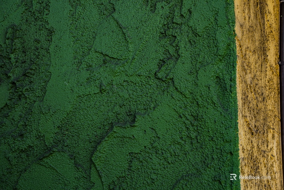 Paint texture