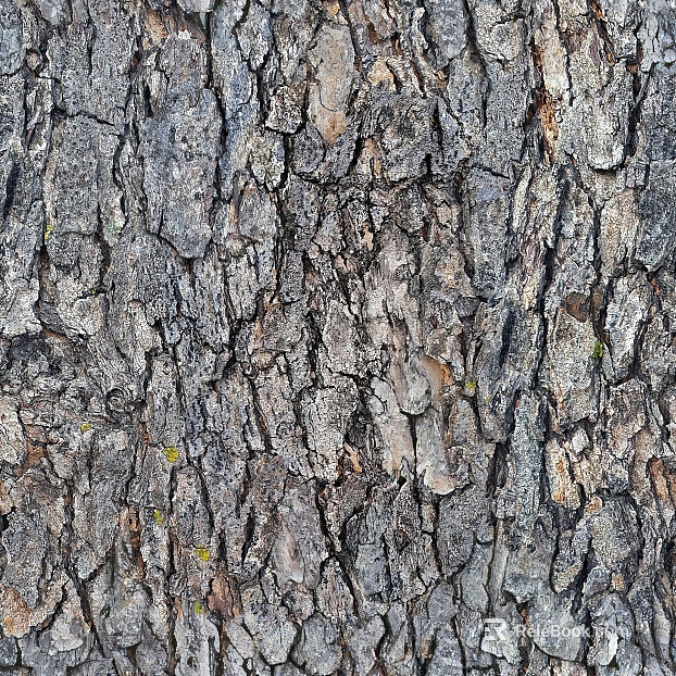 bark texture