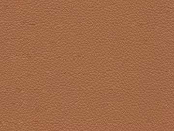 Coarse-grain leather texture (ID:ffach843074)