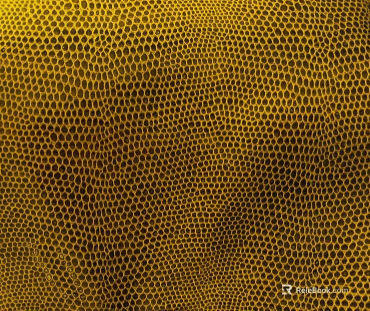 Coarse-grain leather texture