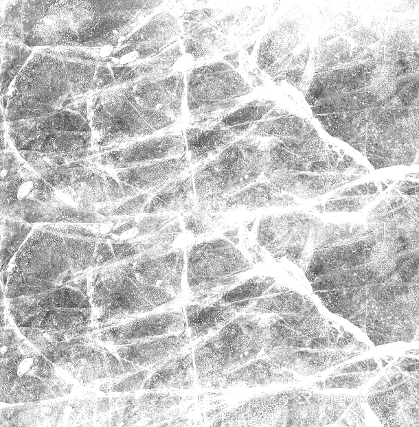 Highlight Mask texture