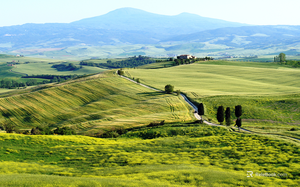 Wild Scenery texture