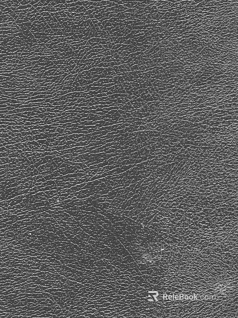 Coarse-grain leather texture