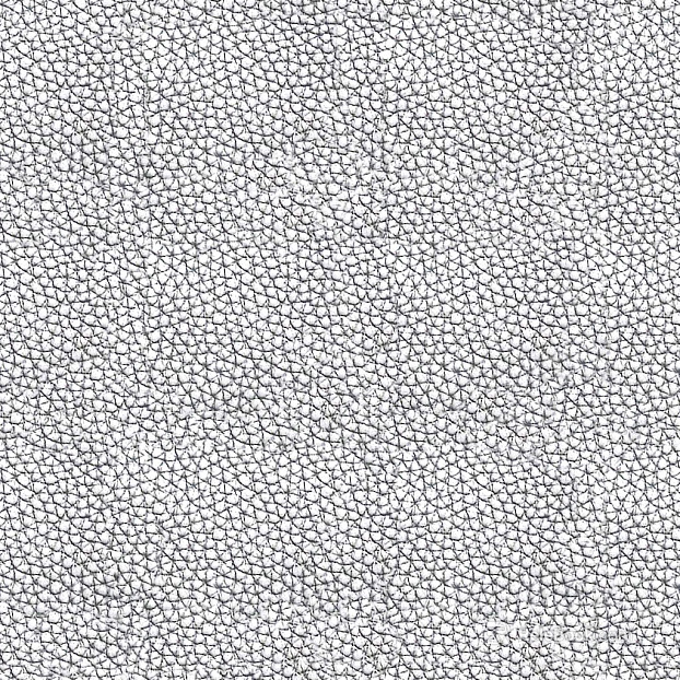 Coarse-grain leather texture