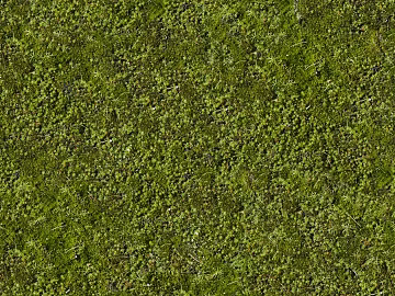 Turf texture (ID:ffabg14716)