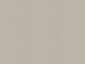 fine grain leather texture (ID:ffajg62905)