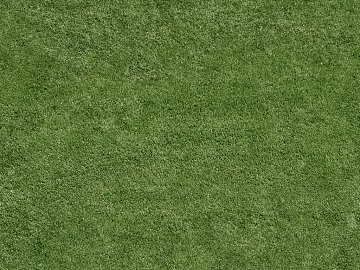 Turf texture (ID:ffaeg05285)