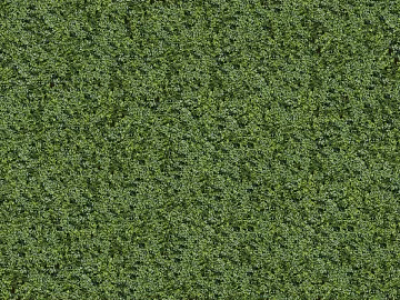 ground grass lawn turf plants sand texture (ID:ffach580774)