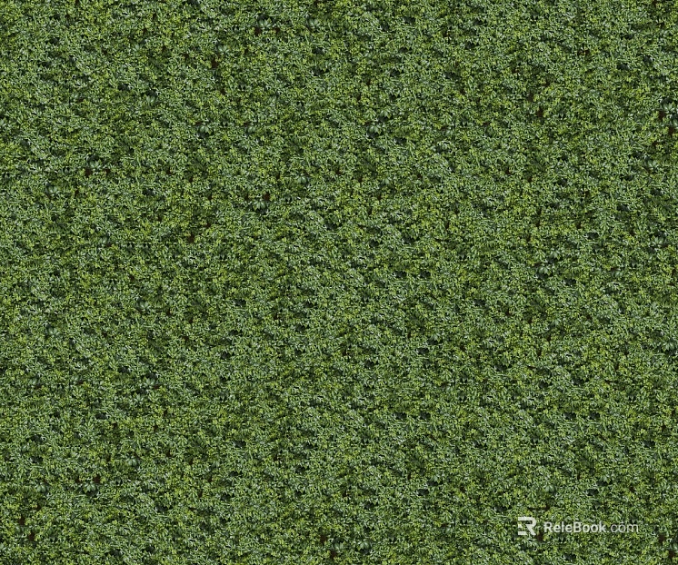 ground grass lawn turf plants sand texture