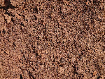 Mud texture (ID:ffach104186)